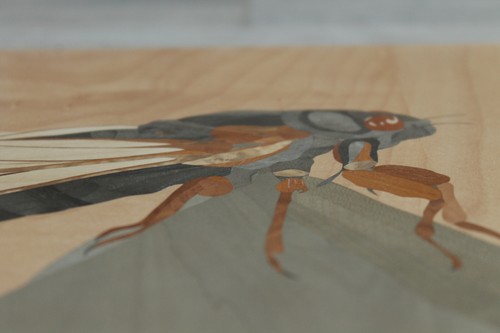 Cicada wood mosaic, marquetry, Insect wood wall art, cicada wood inlay - Picture 4 of 12