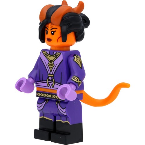 LEGO 71047 Minifiguren Serie 27 Dungeons & Dragons® - D&D Figuren zum Aussuchen! - Bild 22 von 123