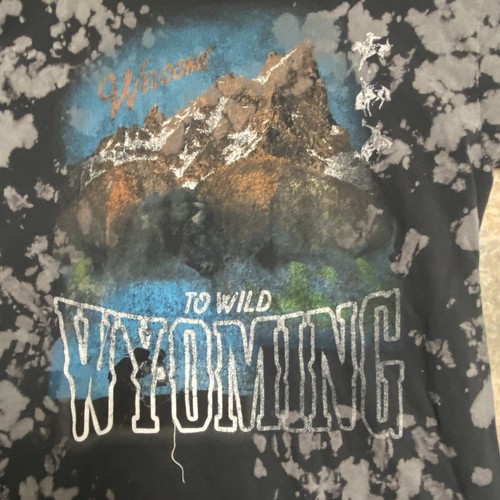 Nature T Shirt Mens Small Wyoming Mountains Faded Cowboy Grizzly Bears Retro 90s - Picture 2 of 6