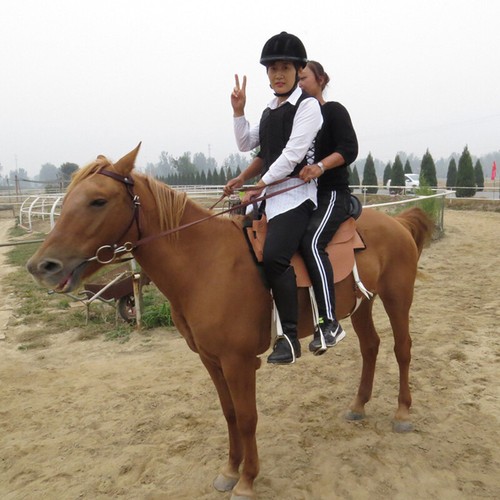 Equestrian Horse Riding Body Protector Safety Vest Protection Protective Coat UK - Picture 4 of 13
