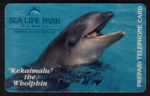 $10. Kekaimalu The Wholphin: Half Whale Dolphin. Sea Life Park Hawaii Phone Card - Afbeelding 1 van 2