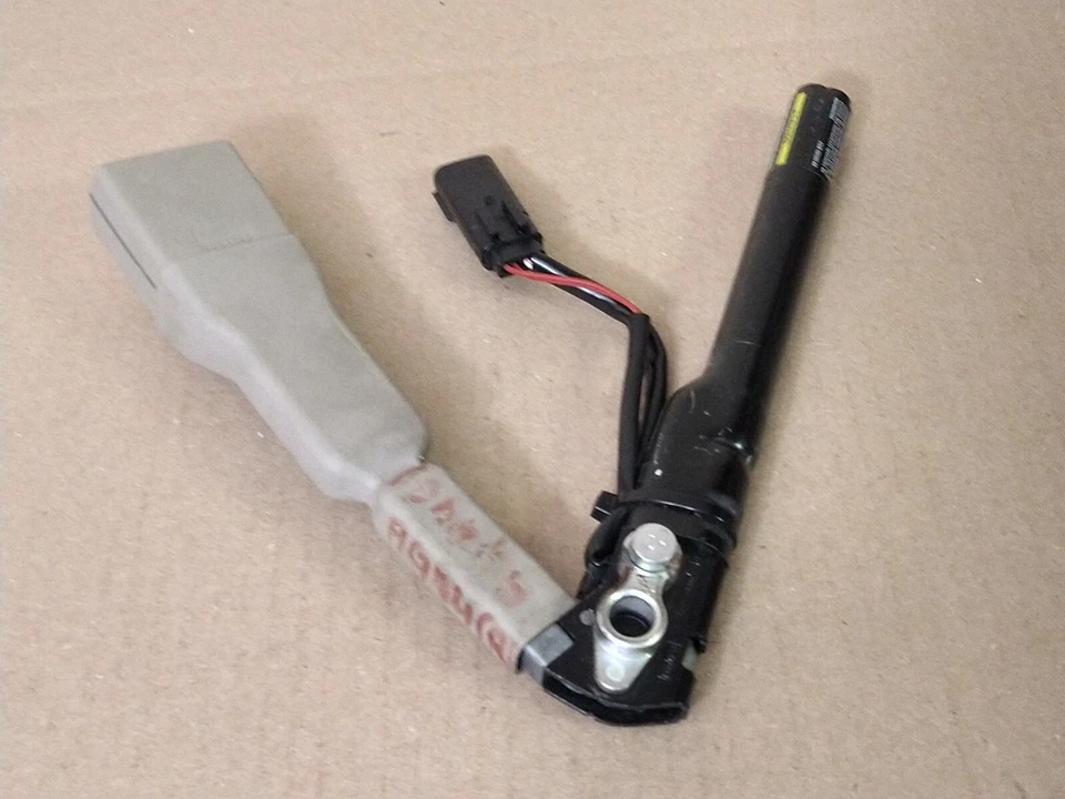 Ford Expedition 2009 cinturón de seguridad del pasajero delantero hebilla interior moldura color FL. Foto 3 de 4