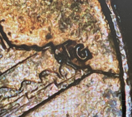 Lincoln Cent 1989 error de grieta - Imagen 3 de 4