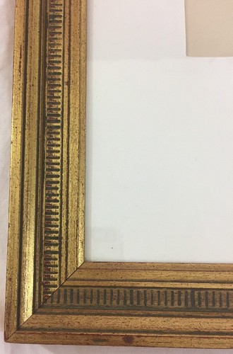 Indisches Süßholz 1880er Jahre Farblithographie professionell gerahmt Abrus Precatorius - Bild 4 von 12