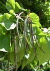 Foto 4 di 7