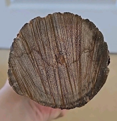 Cara de árbol de madera tallada a mano de colección tallada arte popular colgante de pared ojos blancos - Imagen 7 de 8
