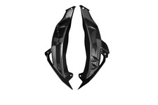 Carbon Seitenverkleidung für BMW S 1000 R 2017-2020