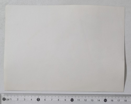 87889 FOTO Calcio 1725 - Giocatori Palermo ? - Bild 2 von 4