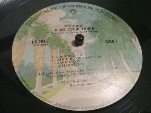 Jesse Colin Young SONGBIRD LP 1975 Album Vinyl Warner Bros. Records BS 2845 Rock - Picture 16 of 20