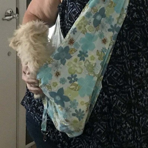 New Pet dog cat sling carrier many colors  kids adult  XXS - 3XL plus size - Picture 8 of 31