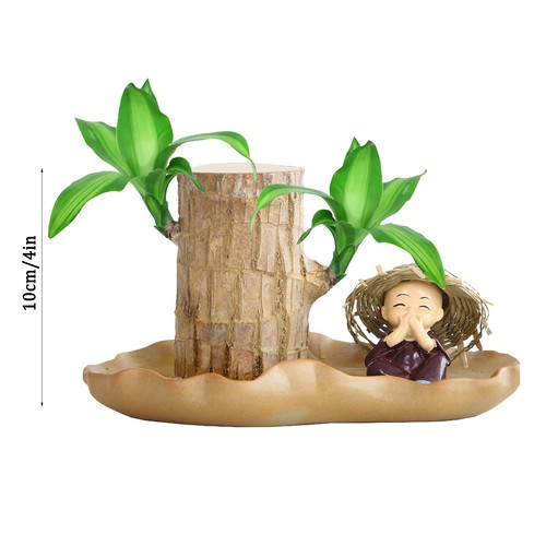 Brazilian Wood Sprouting Lucky Wood, Wood Stump, Hydroponic Potted Plant Ornamen - Photo 6/13
