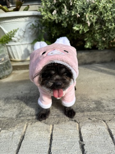 Pig StylePrint Dog Costume Stylish Dog Hoodie with Hat Clothes Sweatshirt Fleece - Bild 1 von 7
