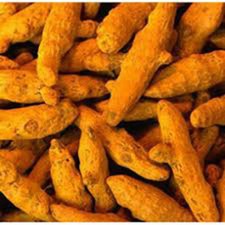 TURMERIC ROOT Whole DRY Curcuma Longa Ayurveda Spice Indian Cooking -100gm