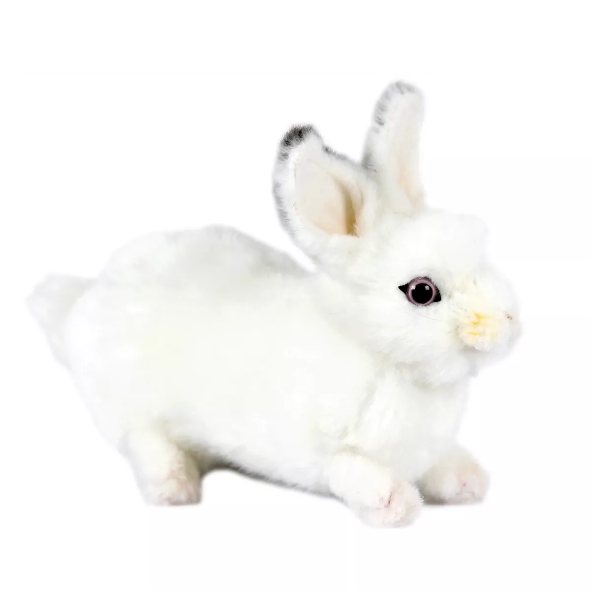 Hansa bunny cheap