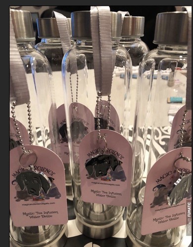 NIB Magic & Science Mystic Glass Water Infusion Bottle Weimaraner Christmas Bag - Picture 8 of 8