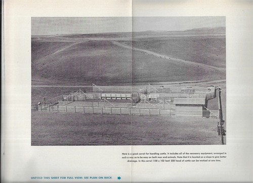 BEEF HANDLING AND FEEDING EQUIPMENT, CALIF., COLLEGE OF AGRICULTURE,#414-1954 - Imagen 3 de 3