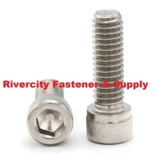 (10) 1/4-20x1 Socket Allen Head Cap Screws Stainless 1/4x20x1 Bolts 1/4x1