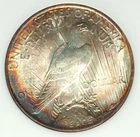 1924 P NGC MS64 Multicolor Rainbow Edge Toned Peace Silver Dollar Old Fat Holder