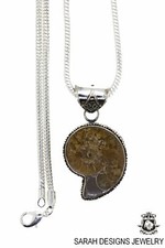 AMMONITE Fossil Pendant 4MM Snake Chain P1700