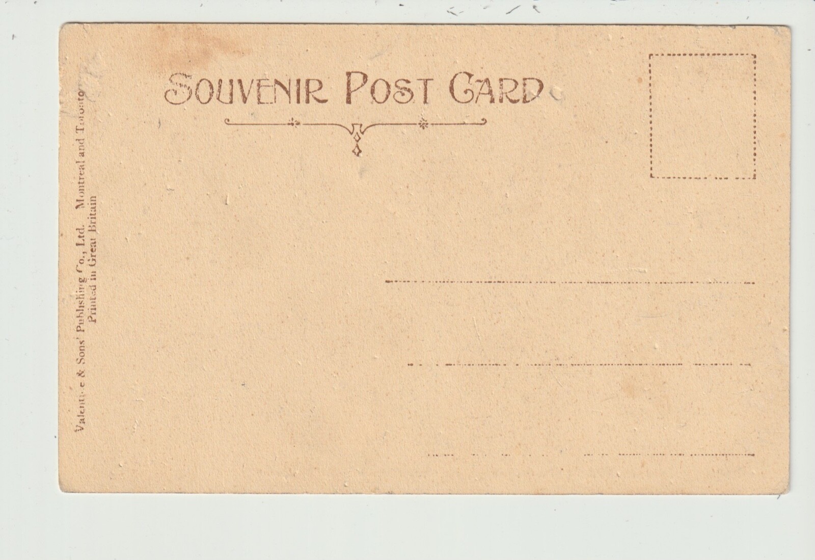 Foto 2 di 2