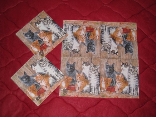 3 Cocktail Servietten ~ Tiere, Katzen und Kätzchen verschiedener Rassen ~ 25x25 - Bild 2 von 2