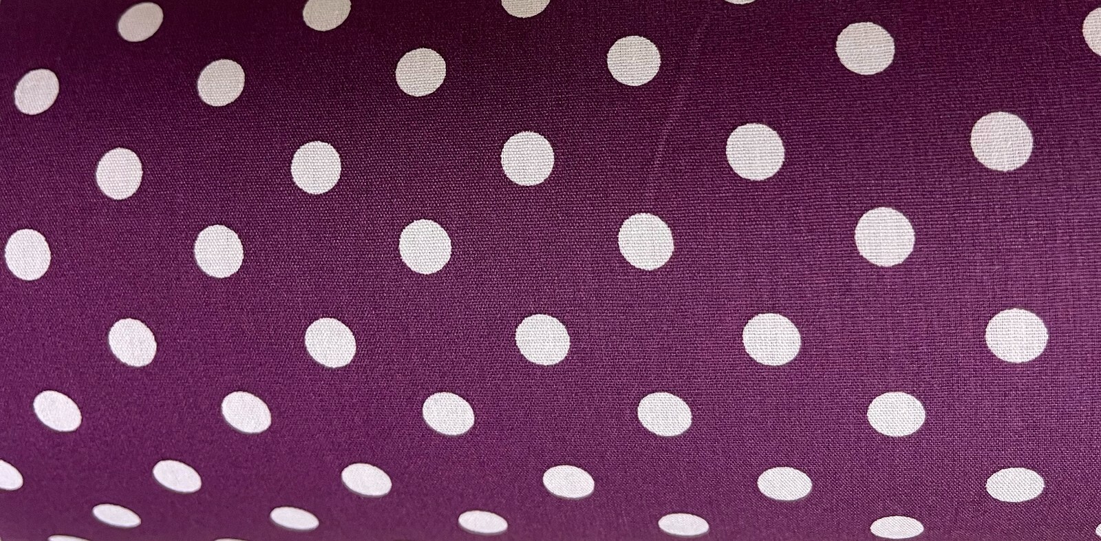 Picture 11 of 16