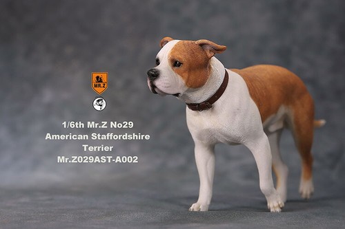 Statua in resina cane Mr.z scala 1/6 NO29 American Staffordshire Terrier IN MAGAZZINO - Foto 15 di 28