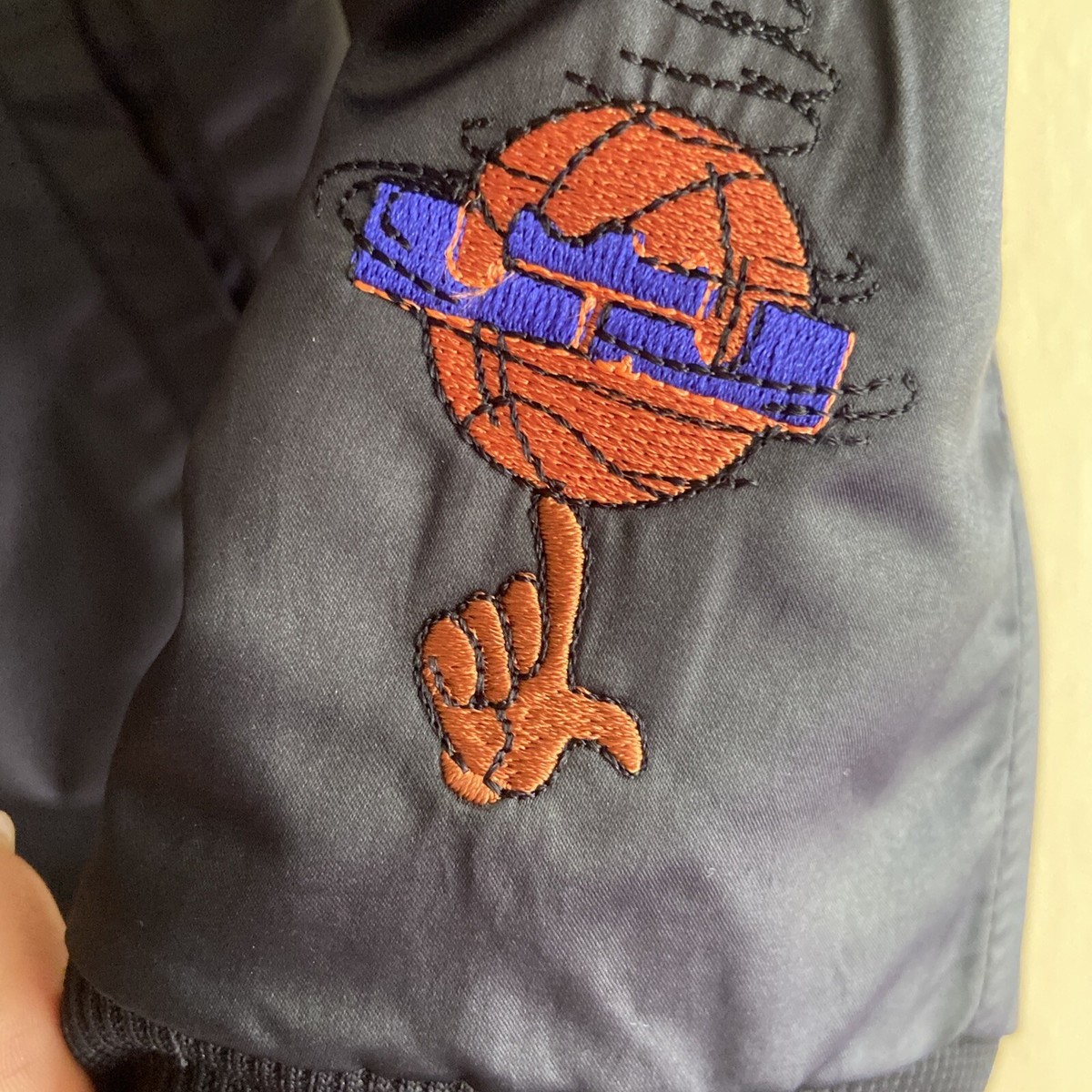 space jam jacket nike