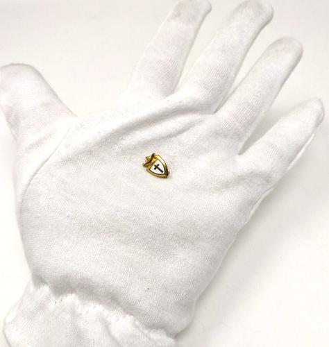 Christian Religious School Cross on Shield Lapel Pin Lamp of learning White tiny - Picture 2 of 10