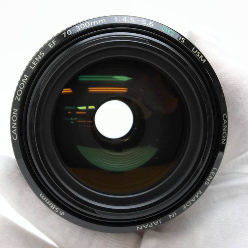 Canon EF 70-300mm F/4.5-5.6 DO IS USM #66 - Picture 5 of 12
