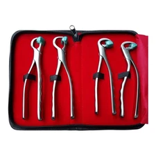 Dental Extraction Forceps Dental Surgery Tools Standard Series Set of 4 Pieces