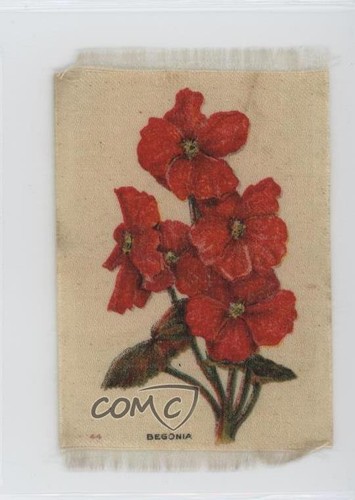 1913 ITC Garden Flowers of the World Silks Tobacco Begonia #44 2j0