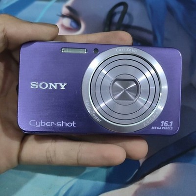 SONY Cyber shot DSC-W630 Digital Camera 16.1 MP 5x Optical Zoom English -Purple