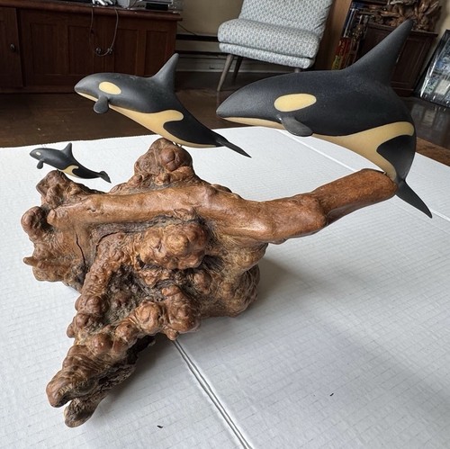 Large John Perry Orca Family Sculpture On Real Burl Wood Heavy Vintage 12 X 10"! - Foto 3 di 8