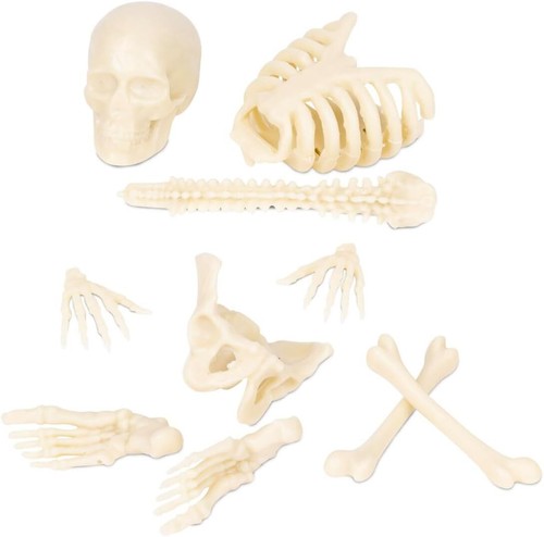 Itty Bitty Human Bones (Bag of 10) - Glow in Dark Figurines Toy - Archie McPhee - Picture 2 of 4