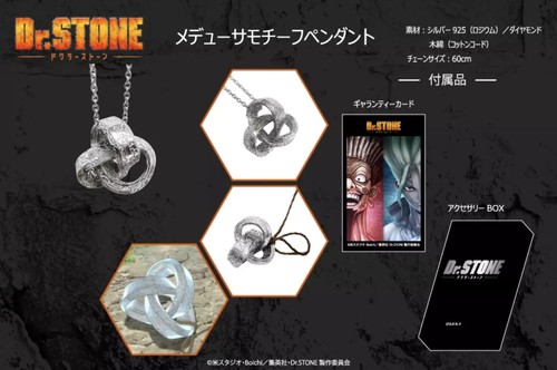 Dr.Stone Medusa Motiv Anhänger Halskette Eterno Recit Silber 925 auf Bestellung JP - Bild 13 von 24