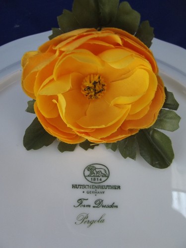 Hutchenreuther, form Dresden * noble coffee service * decor: pergola, 6 people - Picture 7 of 7