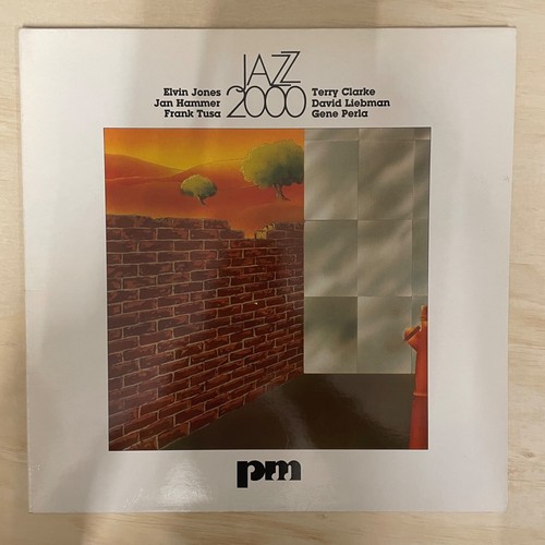 250x Country Schallplattensammlung LP Vinyl A–Z sortiert American Western Blues - Imagen 124 de 239