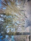 Bild 10 von 12