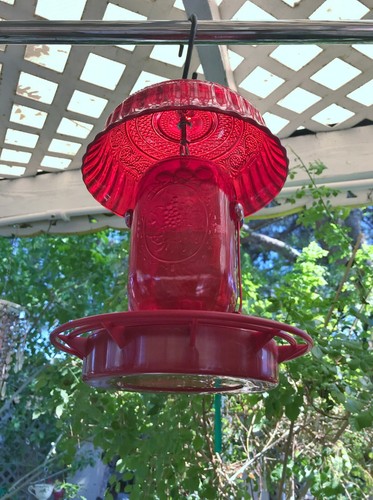 Mason Jar Hummingbird feeder, Bird feeder, Handmade, Gift for Mom - Picture 6 of 9