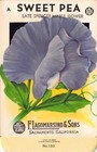 Foto 1 di 2