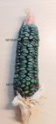 Corn Green Oaxacan Variety Antique Indians 5 Seeds Vegetable Garden