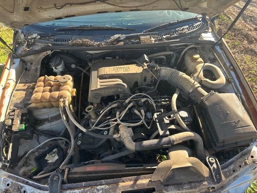 1999 Ford AU Falcon V8 Left Front Strut Sedan/Wagon 98-02 #B299 - Picture 11 of 12