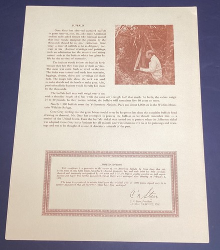 American Buffalo Signed Print By Gene Gray 1971 - Picture 5 of 5