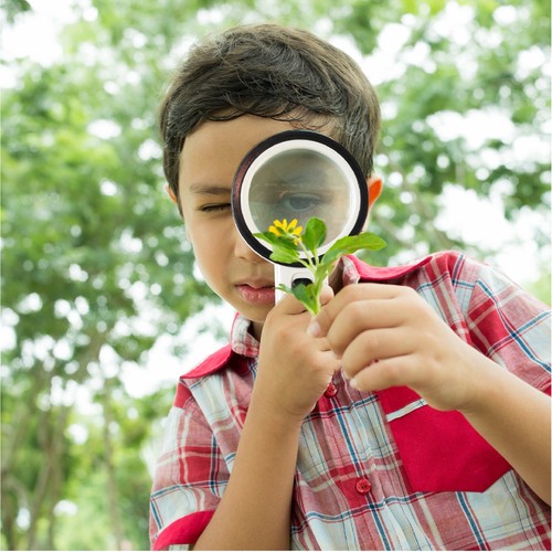 30X Extra Large Magnifying Glass With 12 LED Light Illuminated Reading Loupe UK - Picture 13 of 14