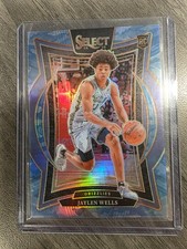 2024-25 panini select Jaylen Wells Blue Camo /99
