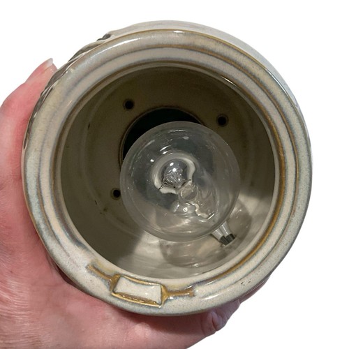 Quemador de cera eléctrico tamaño completo Scentsy Fern con bombilla-FUNCIONA DSW-FERN - Imagen 6 de 9