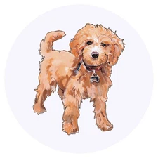 24 x 'Cavapoo dog ' Stickers (SK00056319)