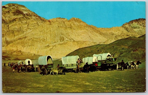 Postcard Conestoga Covered Wagon Train Prairie Schooner Oxen Merle Porter - Picture 1 of 2