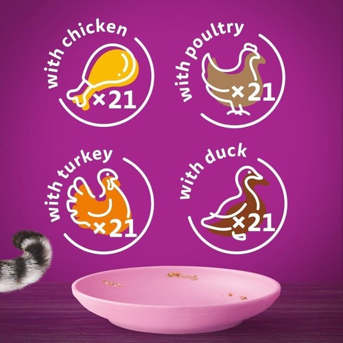 Junior Poultry Selection in Jelly 84 Pouches Wet Kitten & Cat Food (84 x 85 g) - Picture 4 of 9